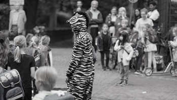 Zebraaktion